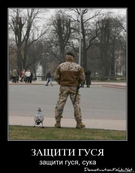 Смешной демотиватор от zubrilov за 19.11.2010 №61272