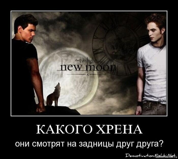 Смешной демотиватор от zubrilov за 19.11.2010 №61274