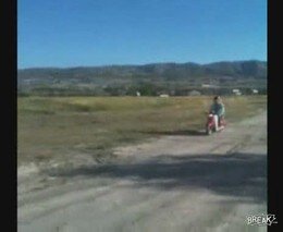 Подборка роликов
