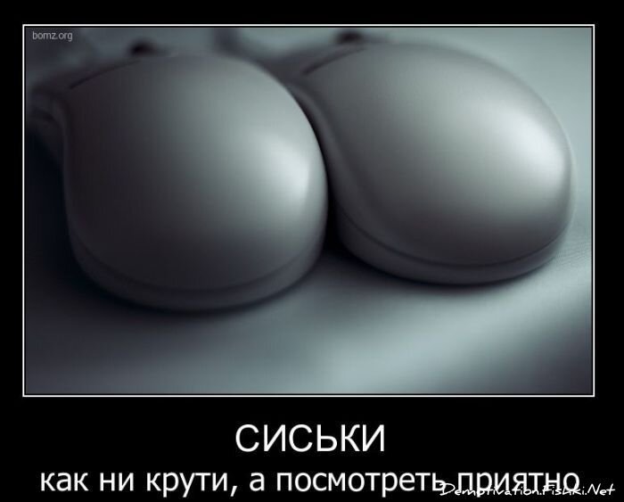 Смешной демотиватор от zubrilov за 24.11.2010 №61330