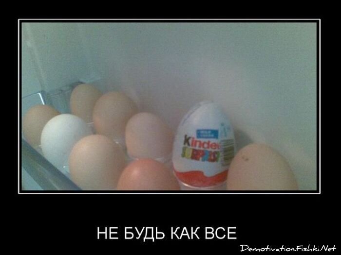 Смешной демотиватор от zubrilov за 24.11.2010 №61331