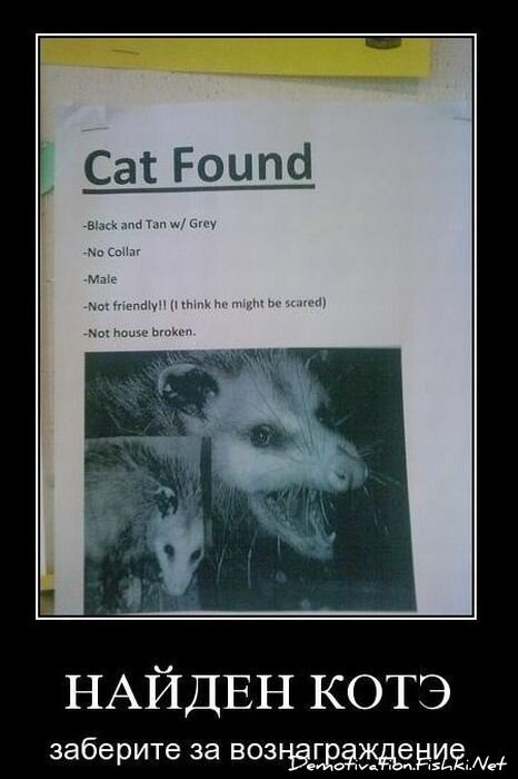 Смешной демотиватор от zubrilov за 24.11.2010 №61338