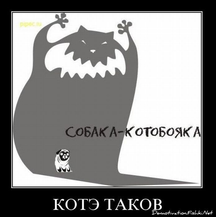 Смешной демотиватор от zubrilov за 24.11.2010 №61339