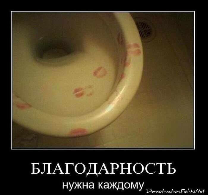 Смешной демотиватор от zubrilov за 24.11.2010 №61340