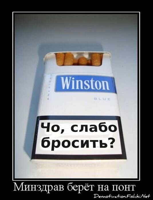 Смешной демотиватор от zubrilov за 24.11.2010 №61341