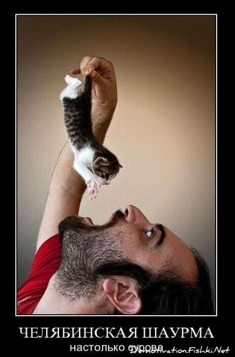 Смешной демотиватор от zubrilov за 24.11.2010 №61344