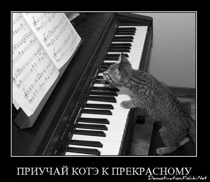 Смешной демотиватор от zubrilov за 24.11.2010 №61439