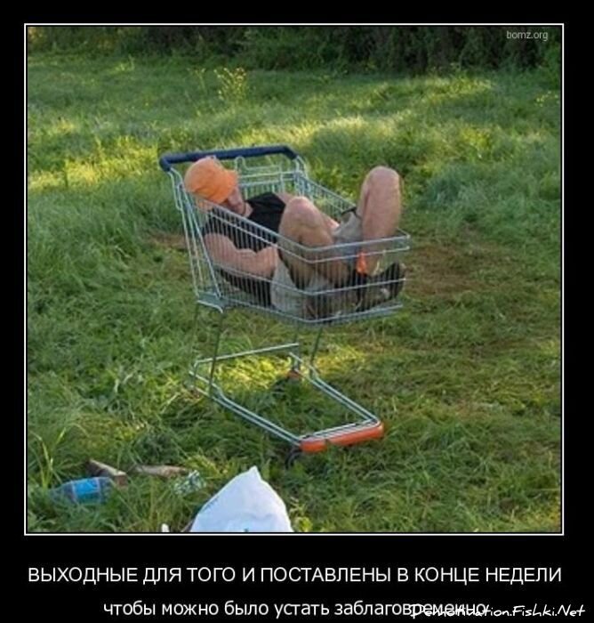 Смешной демотиватор от zubrilov за 24.11.2010 №61453