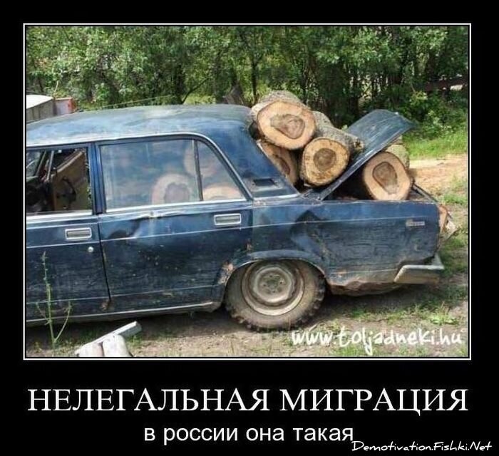 Смешной демотиватор от zubrilov за 24.11.2010 №61458