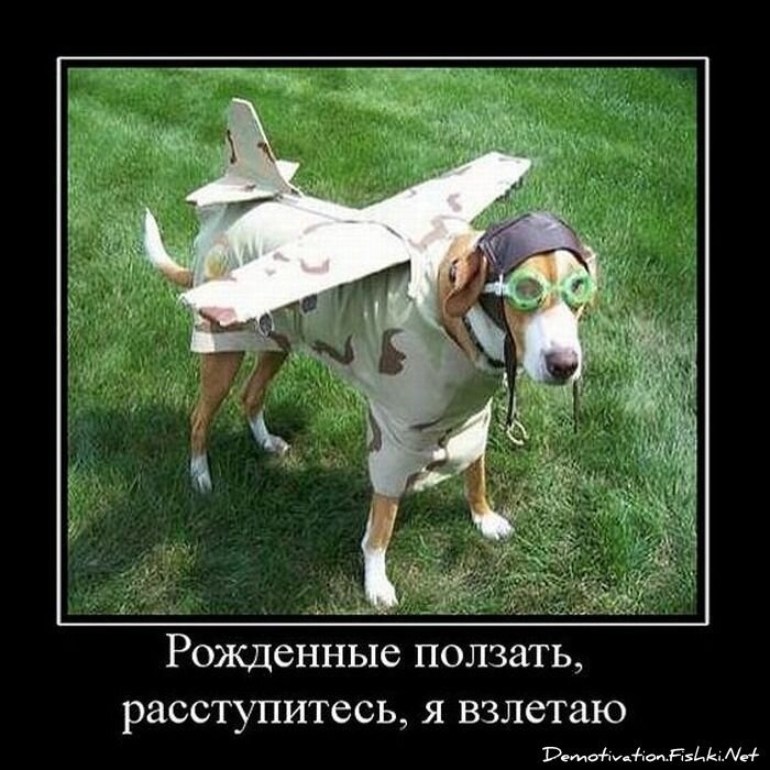 Смешной демотиватор от zubrilov за 24.11.2010 №61459