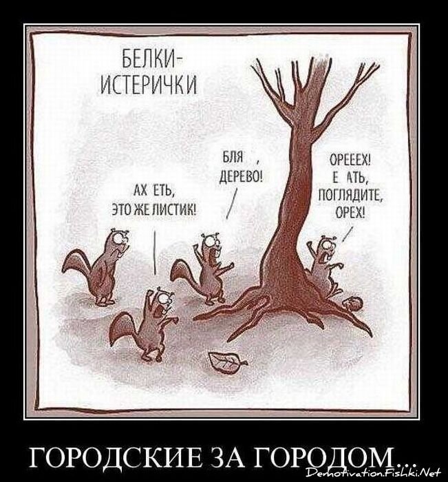 Смешной демотиватор от zubrilov за 24.11.2010 №61460