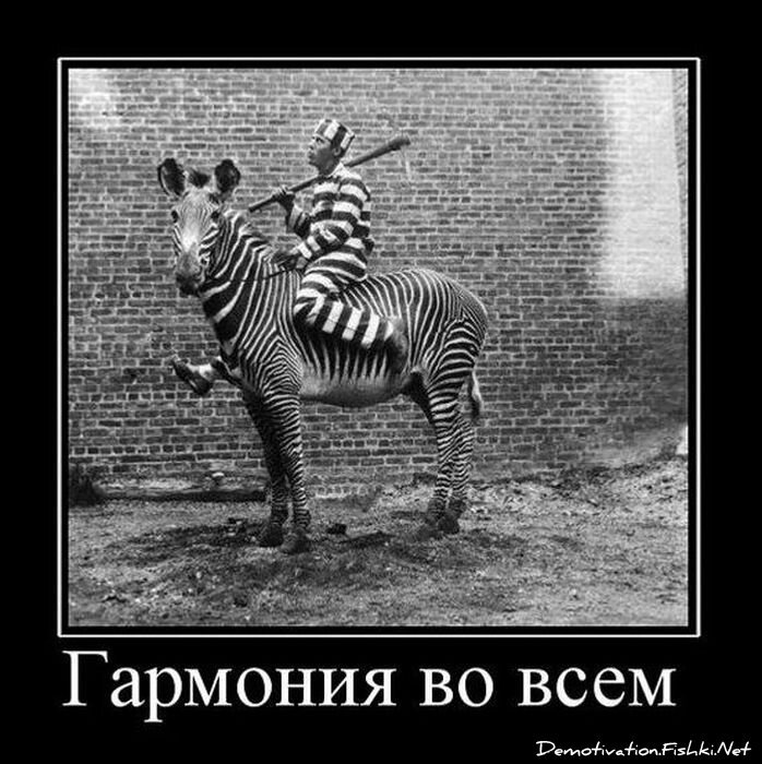 Смешной демотиватор от zubrilov за 24.11.2010 №61467