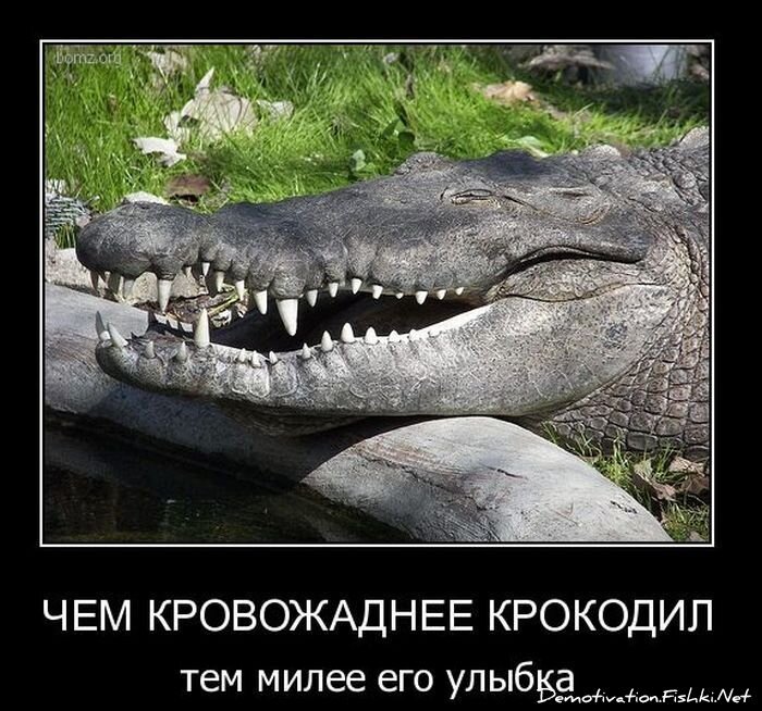 Смешной демотиватор от zubrilov за 24.11.2010 №61469