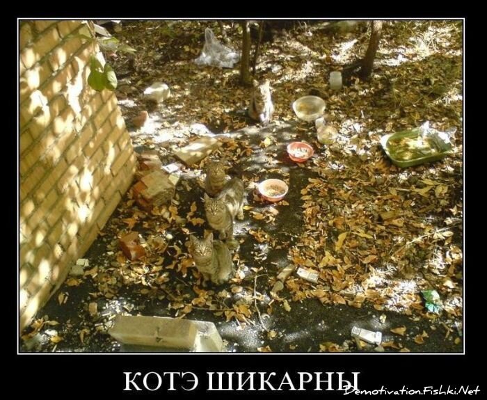 Смешной демотиватор от zubrilov за 24.11.2010 №61470