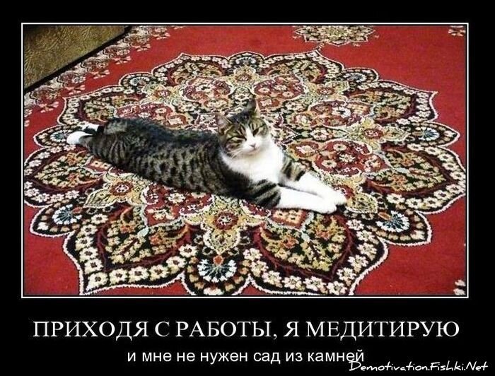 Смешной демотиватор от zubrilov за 24.11.2010 №61471