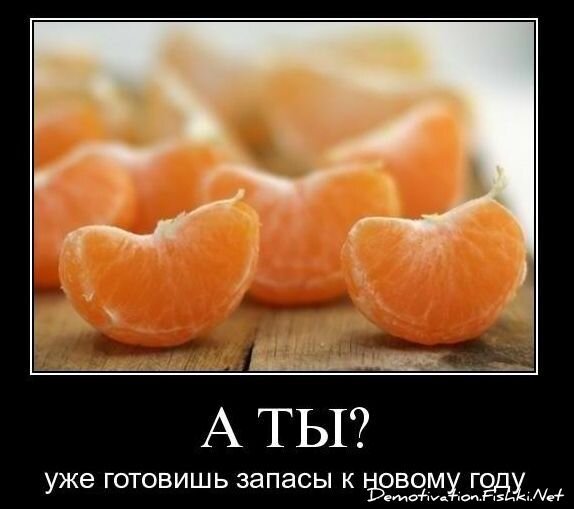 Смешной демотиватор от zubrilov за 26.11.2010 №61501
