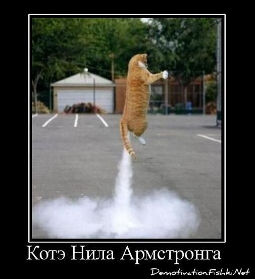 Смешной демотиватор от zubrilov за 26.11.2010 №61505