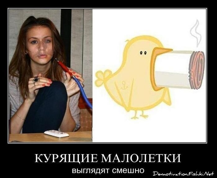 Смешной демотиватор от zubrilov за 26.11.2010 №61512