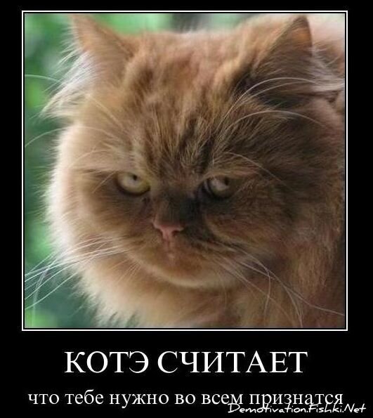 Смешной демотиватор от zubrilov за 26.11.2010 №61514