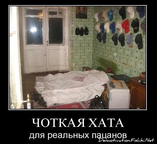 Смешной демотиватор от zubrilov за 26.11.2010 №61517