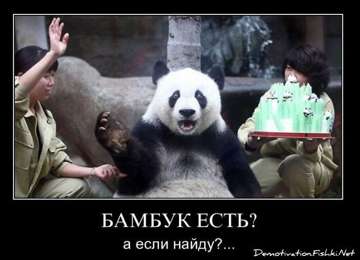 Смешной демотиватор от zubrilov за 26.11.2010 №61521