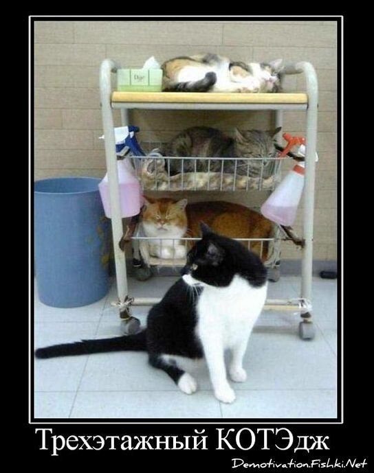 Смешной демотиватор от zubrilov за 26.11.2010 №61527