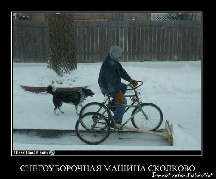 Смешной демотиватор от zubrilov за 26.11.2010 №61537