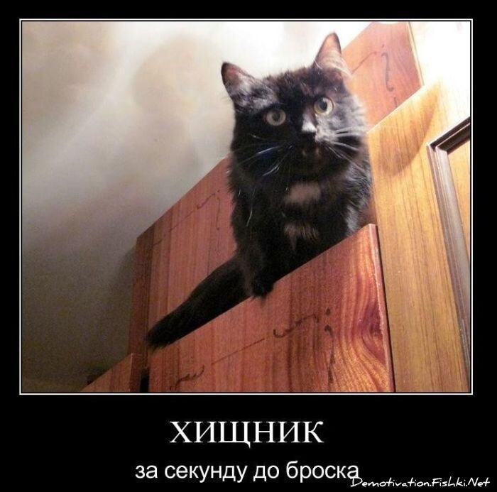 Демотиваторы, часть 88. (89 фото)