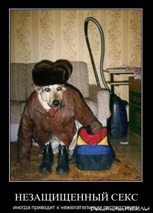 Смешной демотиватор от zubrilov за 26.11.2010 №61540