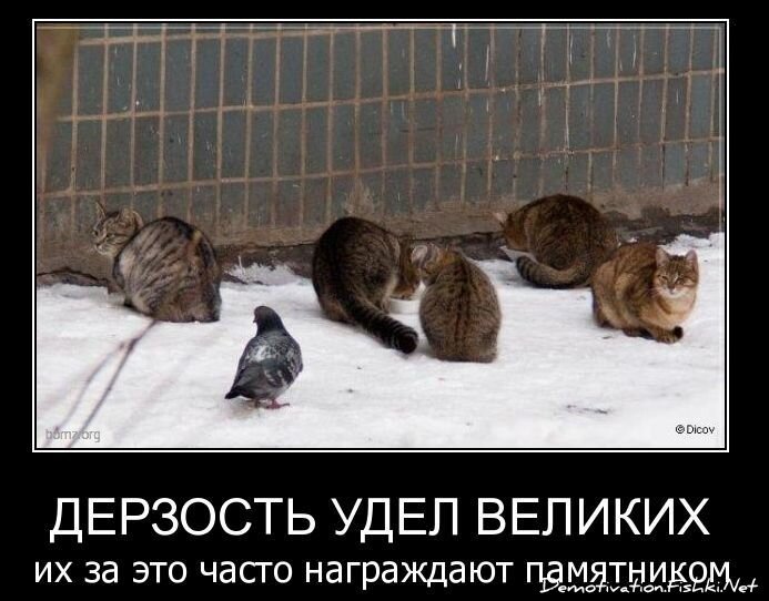 Смешной демотиватор от zubrilov за 26.11.2010 №61553