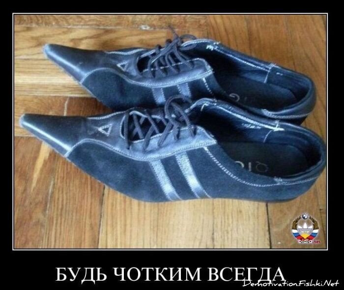 Смешной демотиватор от zubrilov за 26.11.2010 №61554