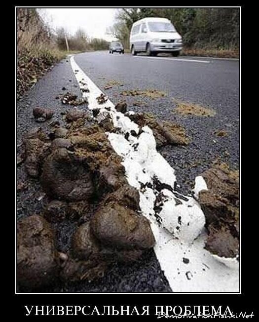 Смешной демотиватор от zubrilov за 26.11.2010 №61565