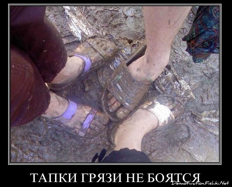 Смешной демотиватор от zubrilov за 26.11.2010 №61582