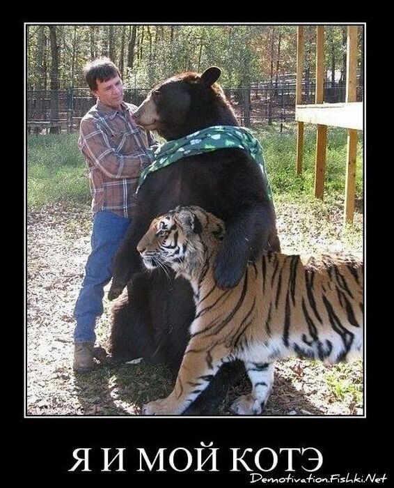 Смешной демотиватор от zubrilov за 26.11.2010 №61583