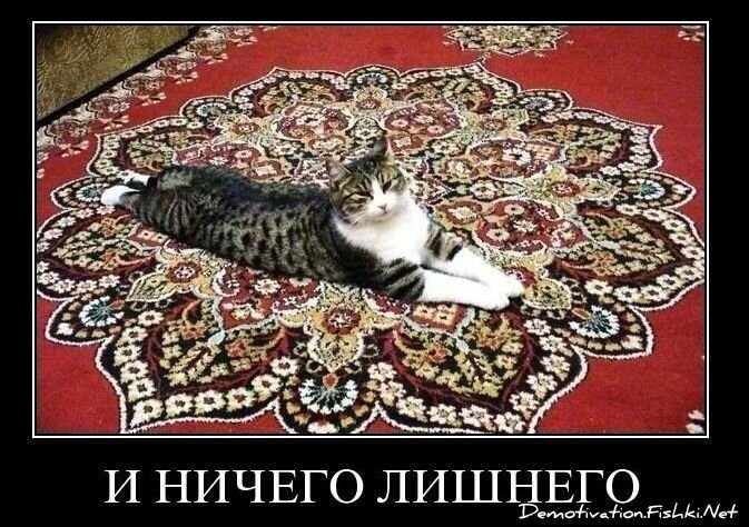 Смешной демотиватор от zubrilov за 26.11.2010 №61584