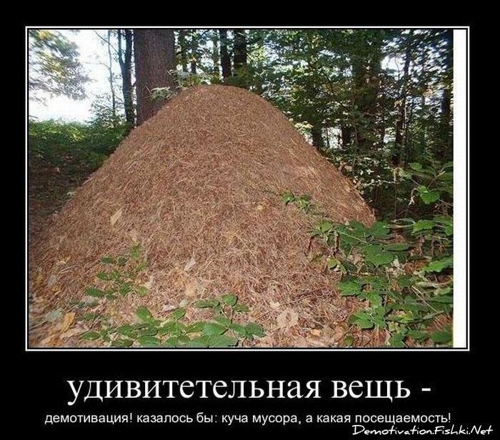 Смешной демотиватор от zubrilov за 26.11.2010 №61586