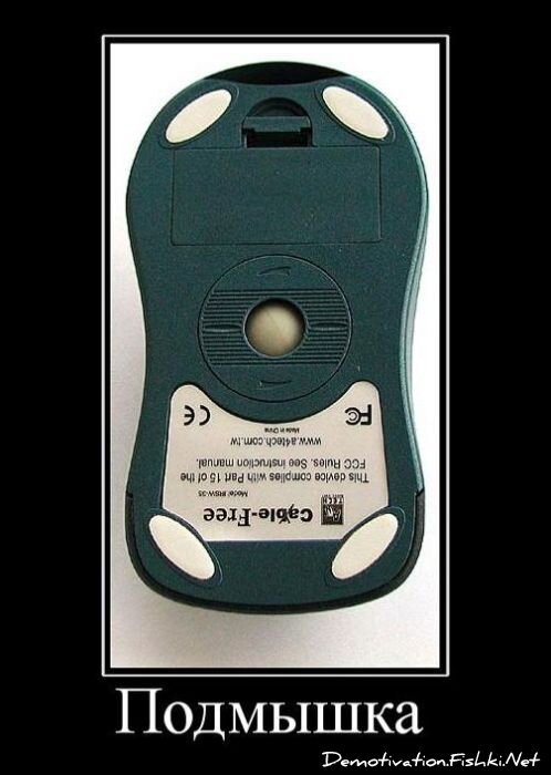 Смешной демотиватор от zubrilov за 01.12.2010 №61614