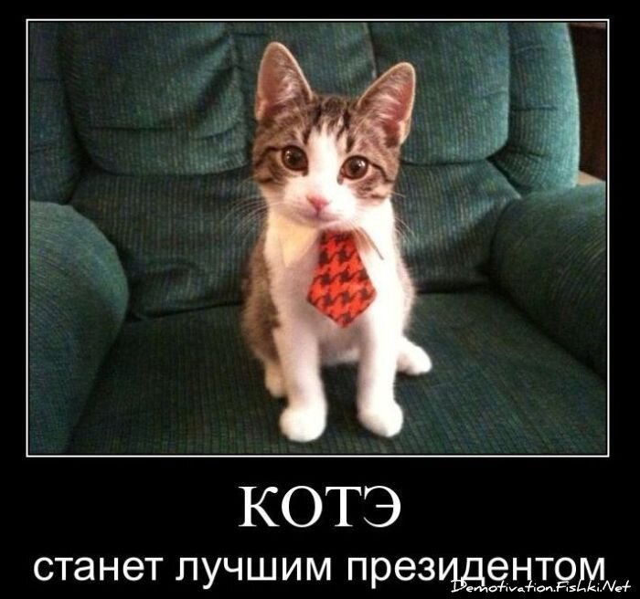 Смешной демотиватор от zubrilov за 01.12.2010 №61615