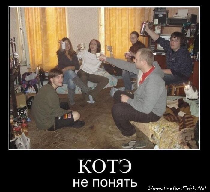 Смешной демотиватор от zubrilov за 01.12.2010 №61617