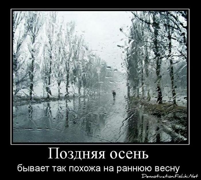 Смешной демотиватор от zubrilov за 01.12.2010 №61630