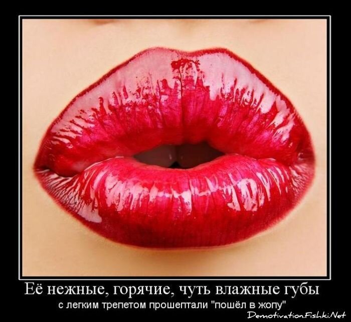 Смешной демотиватор от zubrilov за 01.12.2010 №61637