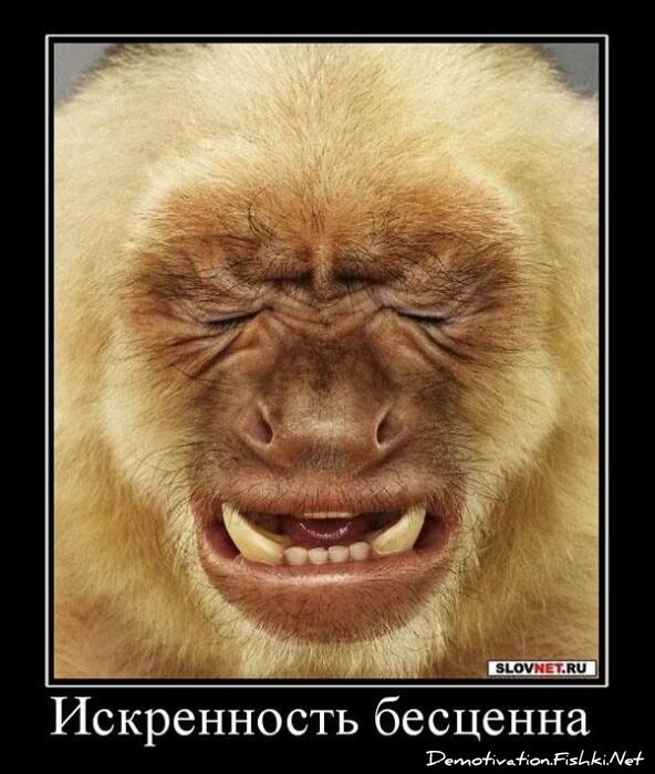 Смешной демотиватор от zubrilov за 01.12.2010 №61638