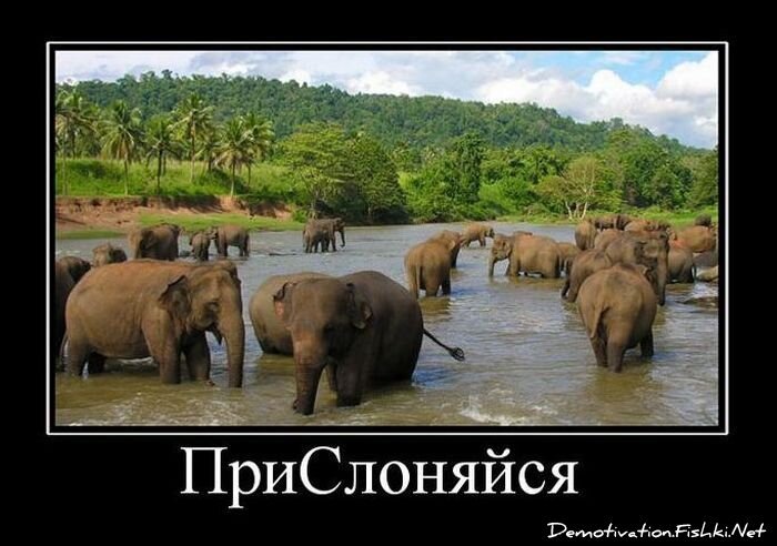 Смешной демотиватор от zubrilov за 01.12.2010 №61639