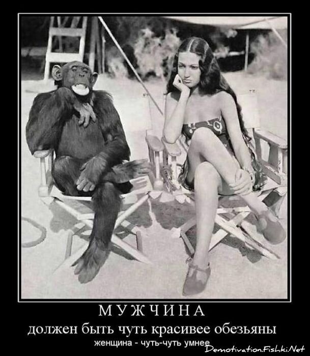 Смешной демотиватор от zubrilov за 01.12.2010 №61644