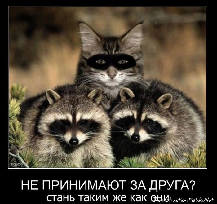 Смешной демотиватор от zubrilov за 01.12.2010 №61654