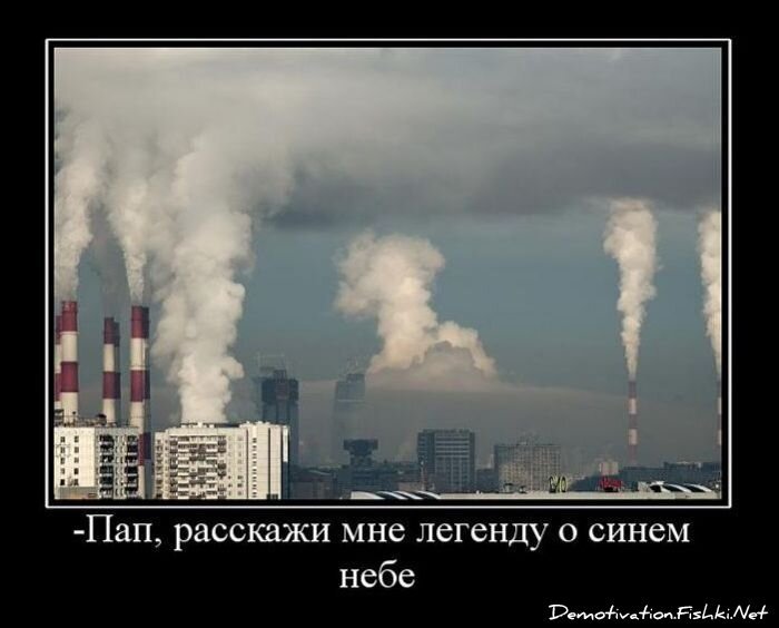 Смешной демотиватор от zubrilov за 01.12.2010 №61661