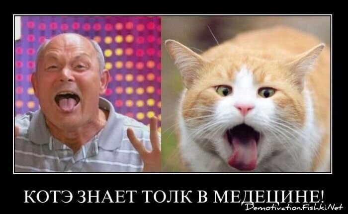 Смешной демотиватор от zubrilov за 01.12.2010 №61668