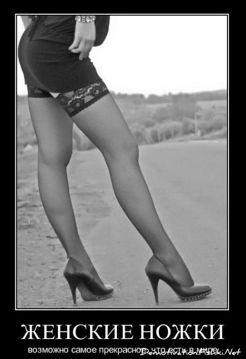 Смешной демотиватор от zubrilov за 01.12.2010 №61669