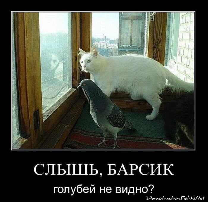 Смешной демотиватор от zubrilov за 01.12.2010 №61670