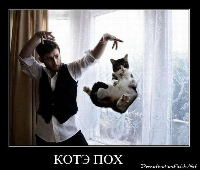 Смешной демотиватор от zubrilov за 01.12.2010 №61671